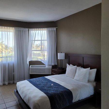 Comfort Inn & Suites Levittown Luaran gambar